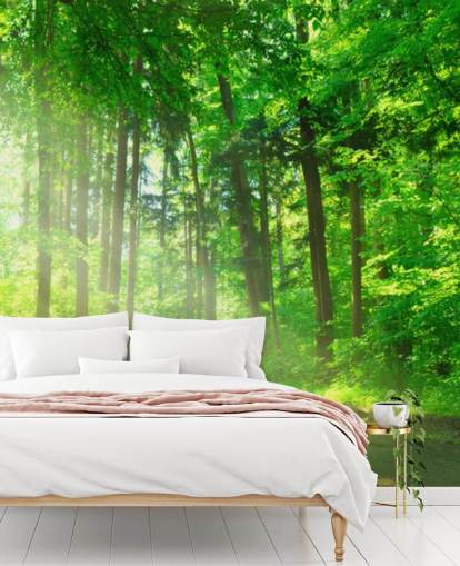 green customizable forest wallpaper mural called Forest Path in Sunshine