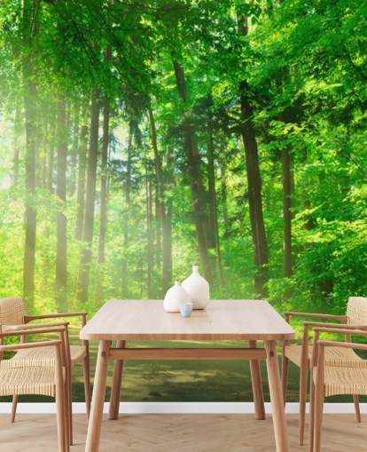 mural verde personalizable de papel pintado de bosque llamado Forest Path in Sunshine mural verde personalizable de papel pintado de bosque llamado Forest Path in Sunshine