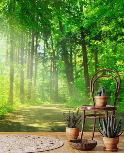 papier peint mural vert personnalisable en forme de forêt appelé Forest Path in Sunshine papier peint mural vert personnalisable en forme de forêt appelé Forest Path in Sunshine