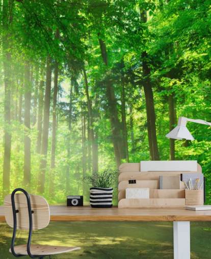 mural de papel de parede florestal personalizável verde chamado Forest Path in Sunshine