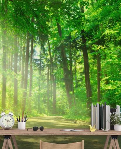 green customisable forest wallpaper mural called Forest Path in Sunshine