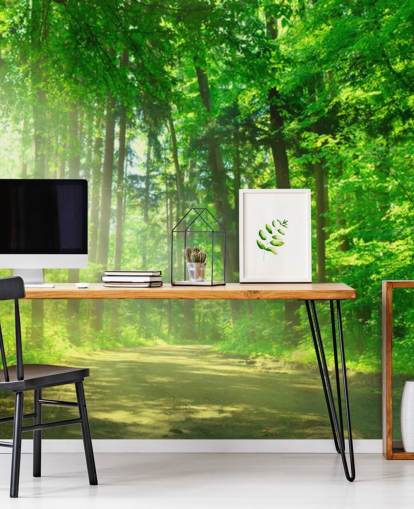 papier peint mural vert personnalisable en forme de forêt appelé Forest Path in Sunshine papier peint mural vert personnalisable en forme de forêt appelé Forest Path in Sunshine