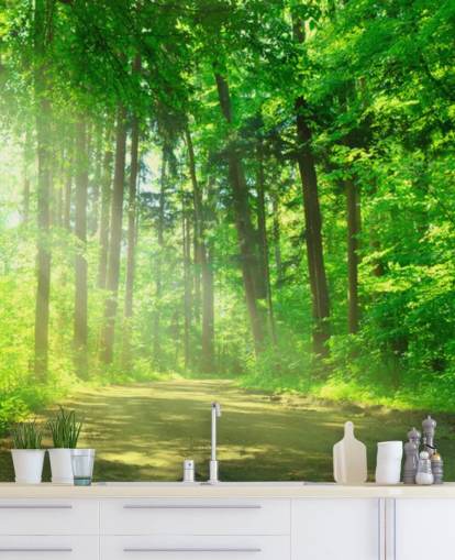 Forest Path in Sunshine Wall Mural Wallpaper