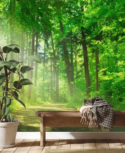 mural verde personalizable de papel pintado de bosque llamado Forest Path in Sunshine mural verde personalizable de papel pintado de bosque llamado Forest Path in Sunshine