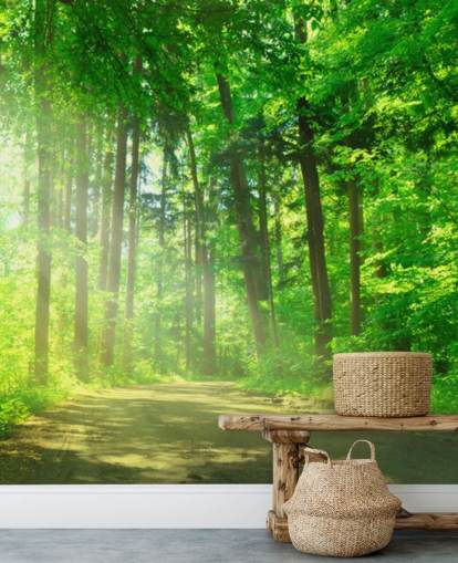 mural de papel de parede florestal personalizável verde chamado Forest Path in Sunshine mural de papel de parede florestal personalizável verde chamado Forest Path in Sunshine