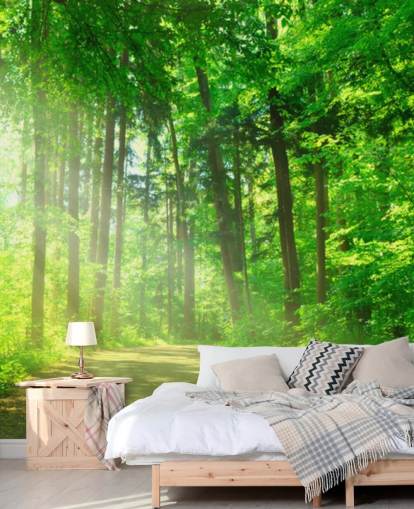 mural verde personalizable de papel pintado de bosque llamado Forest Path in Sunshine