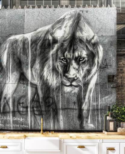 Lion Graffiti seinämaalaus Lion Graffiti seinämaalaus