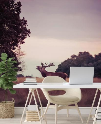 Fondo de pantalla de ciervo salvaje