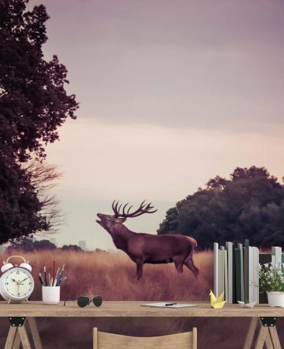 Fond d'écran Cerf dans la nature Fond d'écran Cerf dans la nature