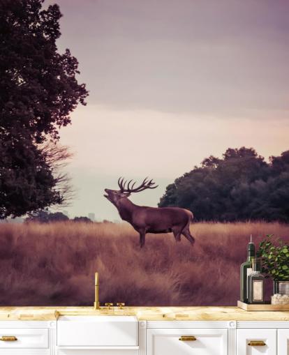 Fond d'écran Cerf dans la nature Fond d'écran Cerf dans la nature