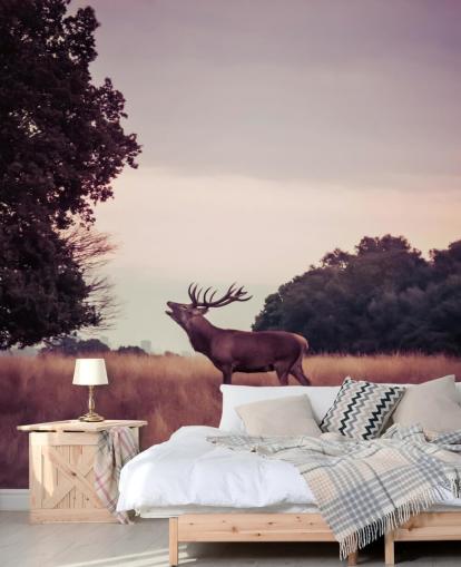 Carta da parati Stag in Wild