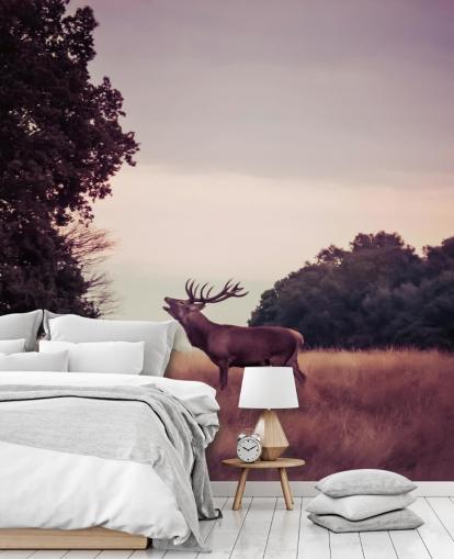 Fond d'écran Cerf dans la nature Fond d'écran Cerf dans la nature