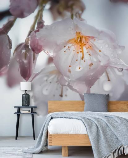 Sadepisarat Blossom -seinämaalauksessa