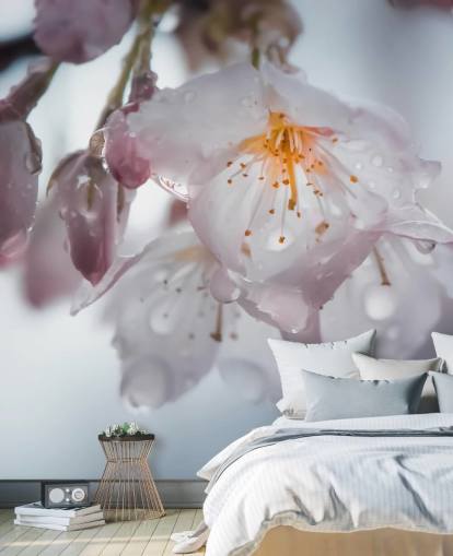 Raindrops on Blossom Wall Mural
