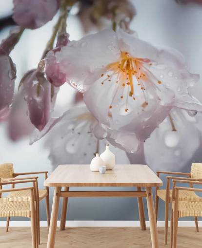 Raindrops on Blossom Wall Mural