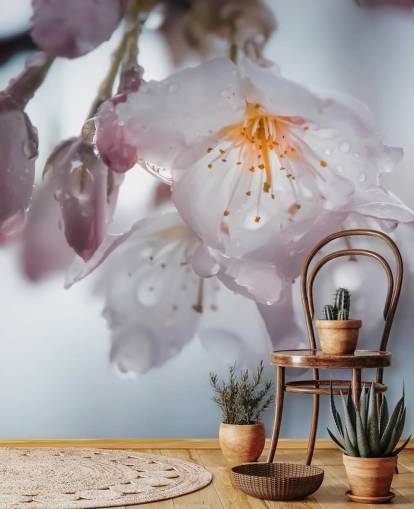 Decorazione murale con gocce di pioggia sul fiore Decorazione murale con gocce di pioggia sul fiore