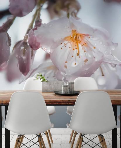 Raindrops on Blossom Wall Mural