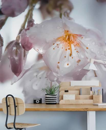 Decorazione murale con gocce di pioggia sul fiore Decorazione murale con gocce di pioggia sul fiore