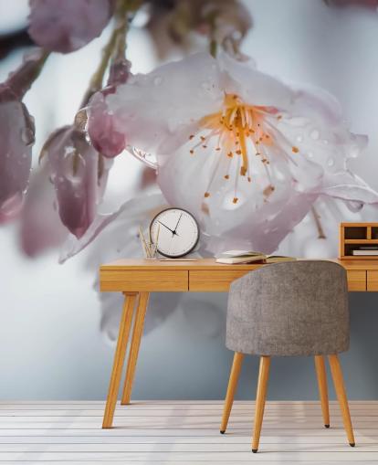 Raindrops on Blossom Wall Mural