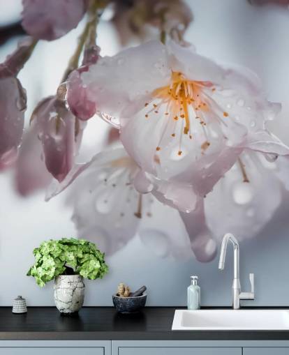 Raindrops on Blossom Wall Mural