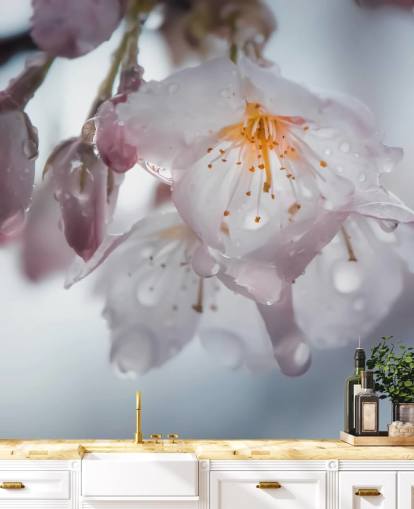 Raindrops on Blossom Wall Mural