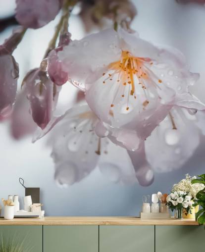 Décoration murale Gouttes de pluie sur fleurs