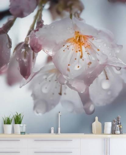 Sadepisarat Blossom -seinämaalauksessa