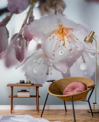Regendruppels op Blossom Muurschildering Regendruppels op Blossom Muurschildering