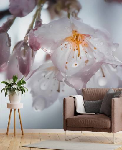 Raindrops on Blossom Wall Mural