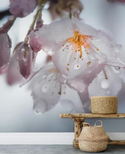 Raindrops on Blossom Wall Mural