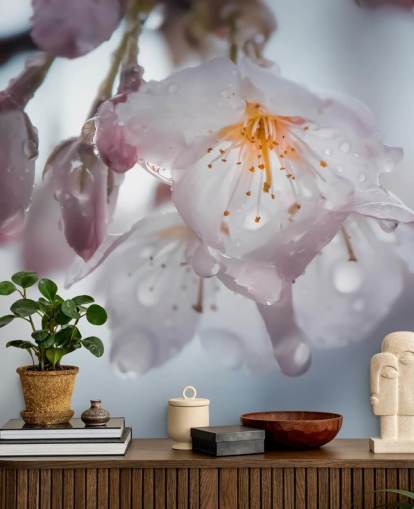 Raindrops on Blossom Wall Mural