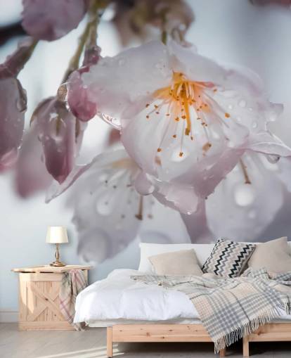 Raindrops on Blossom Wall Mural