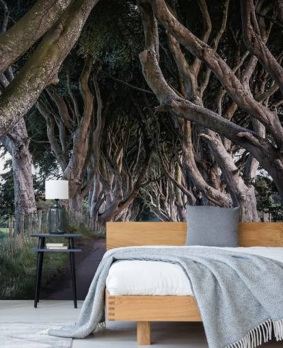 The Dark Hedges of County Antrim Wallpaper The Dark Hedges of County Antrim Wallpaper