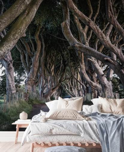 Papel de Parede de The Dark Hedges of County Antrim