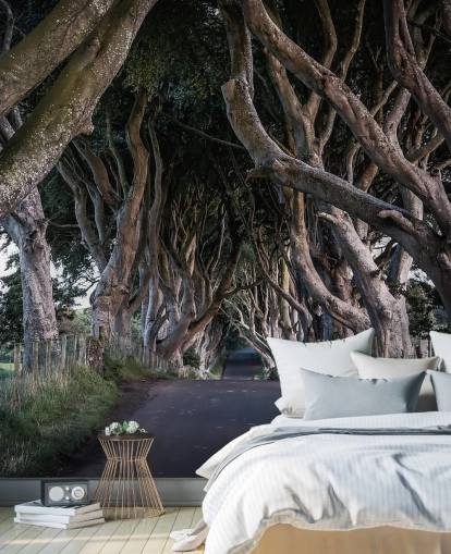Papel de Parede de The Dark Hedges of County Antrim Papel de Parede de The Dark Hedges of County Antrim