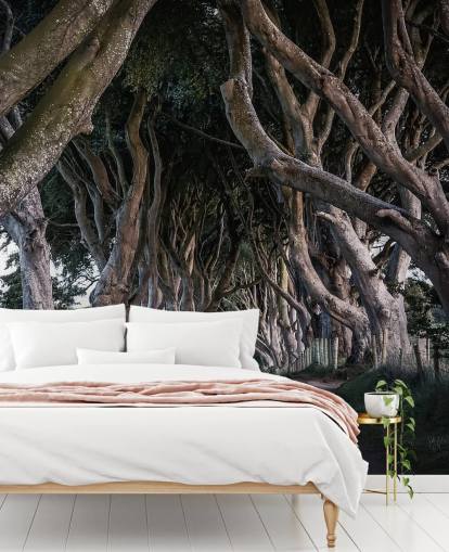 Fondo de pantalla de Los setos oscuros del condado de Antrim