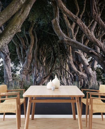 Papel de Parede de The Dark Hedges of County Antrim