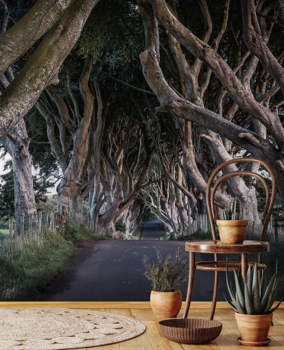 Den mørke hekker av County Antrim Bakgrunn