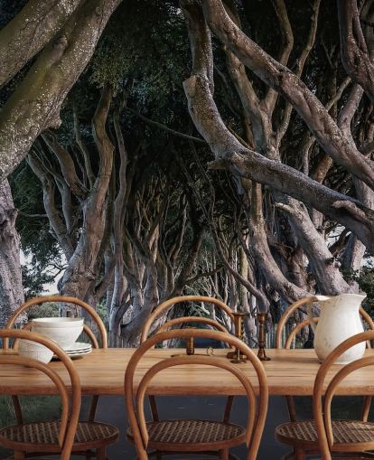 The Dark Hedges of County Antrim Wallpaper