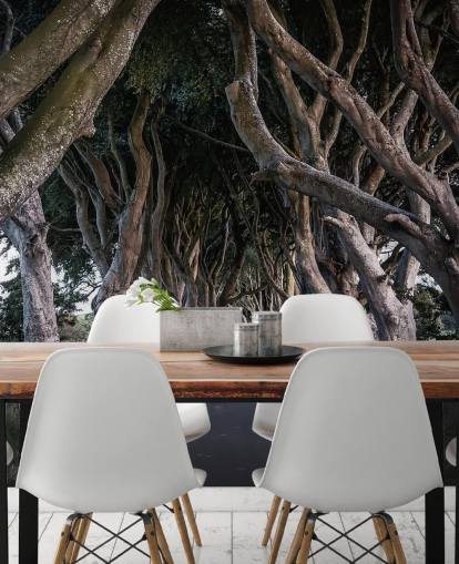 The Dark Hedges of County Antrim Wallpaper