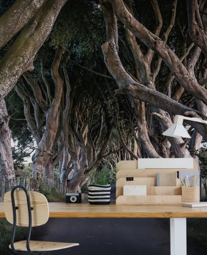 The Dark Hedges of County Antrim Wallpaper