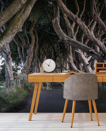 The Dark Hedges of County Antrim Wallpaper