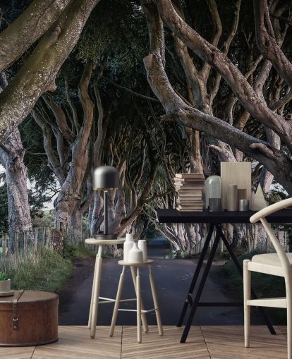 Papel de Parede de The Dark Hedges of County Antrim