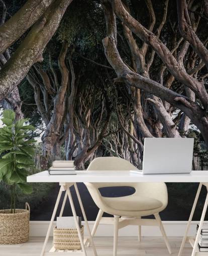 Die dunklen Hecken der Grafschaft Antrim Wallpaper