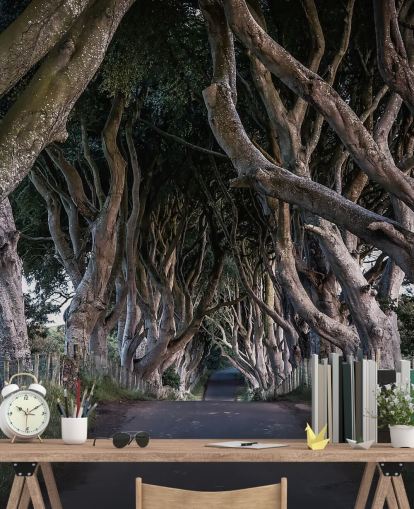 Papel de Parede de The Dark Hedges of County Antrim