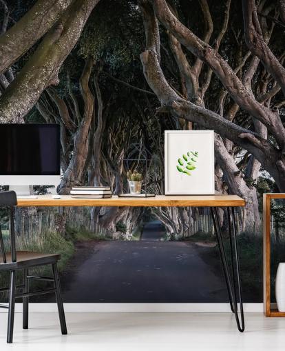 Papel de Parede de The Dark Hedges of County Antrim