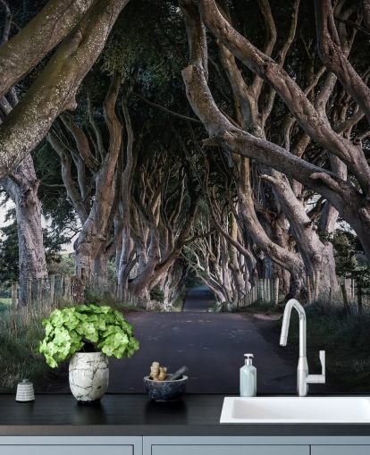 The Dark Hedges of County Antrim Wallpaper
