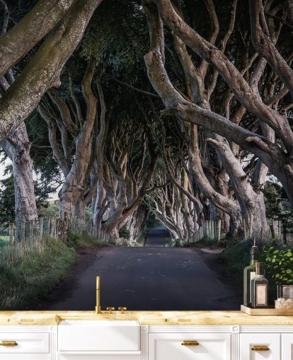 Carta da parati The Dark Hedges of County Antrim