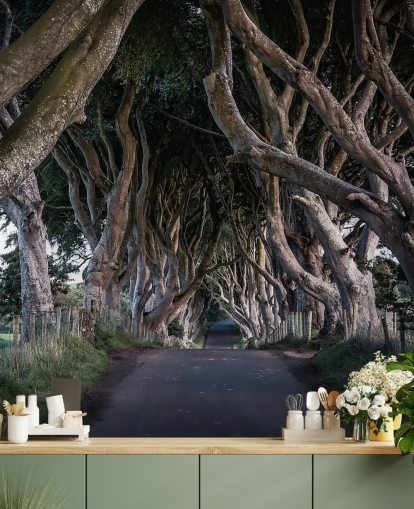 The Dark Hedges of County Antrim Wallpaper The Dark Hedges of County Antrim Wallpaper