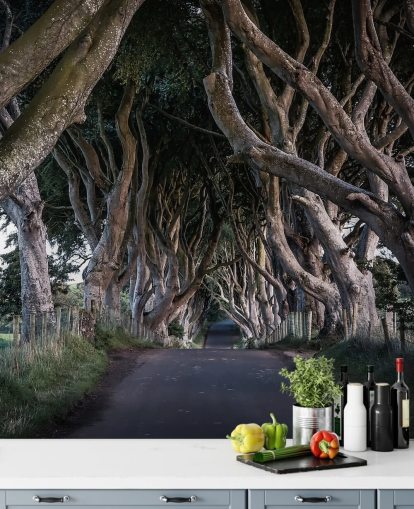 The Dark Hedges of County Antrim Wallpaper The Dark Hedges of County Antrim Wallpaper